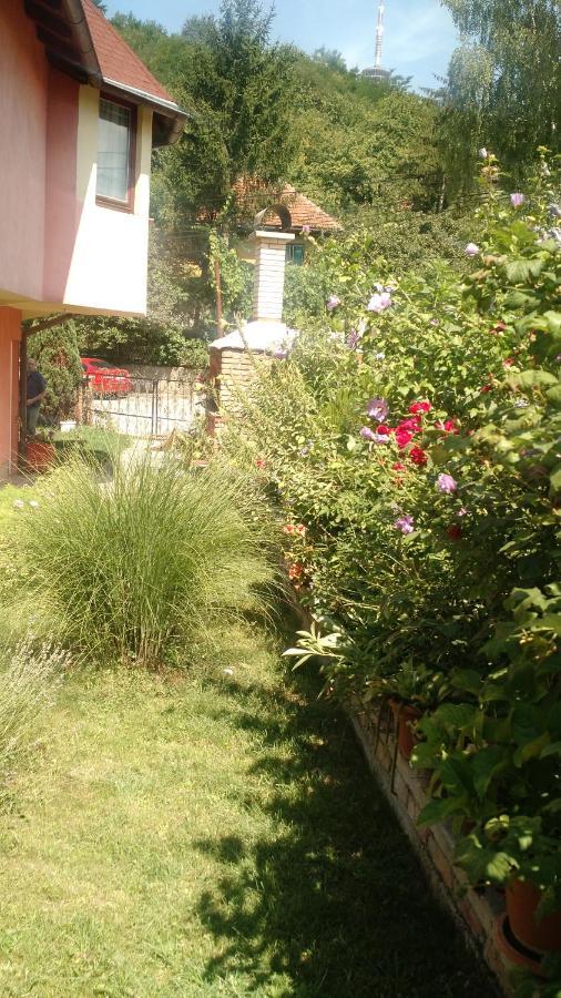 Apartman House Annesa Sarajevo Ngoại thất bức ảnh